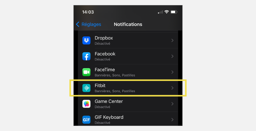 Sélectionnez les notifications de l’application.